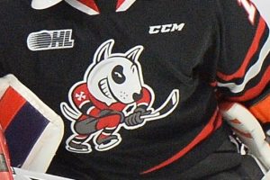 Niagara OHL players kicked out, GM handed 2-year suspension for violating league policies Niagara OHL players kicked out, GM handed 2-year suspension for violating league policies